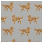 nova scotia retriever dog grey fabric