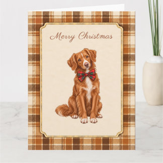 Nova Scotia Toller Christmas Card