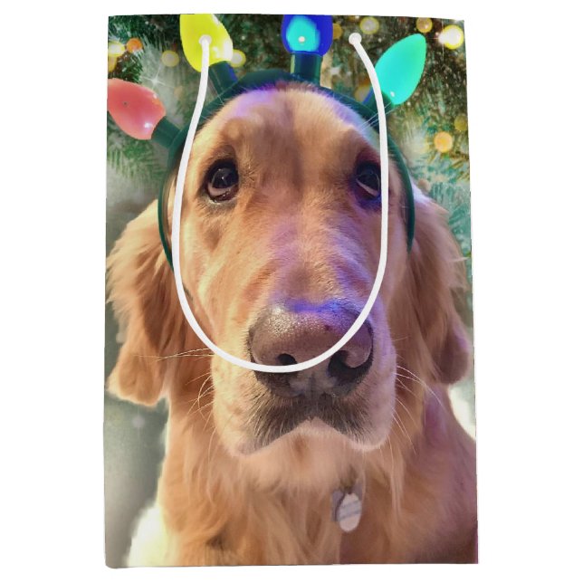 Nova the Golden Retriever - Christmas Gift Bag (Front)