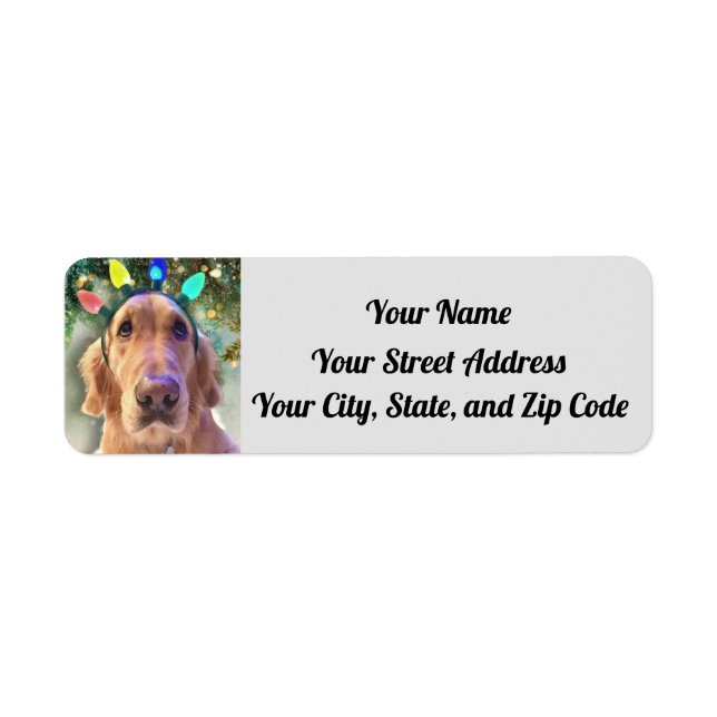Nova The Golden Retriever Christmas Lights Address Label (Front)