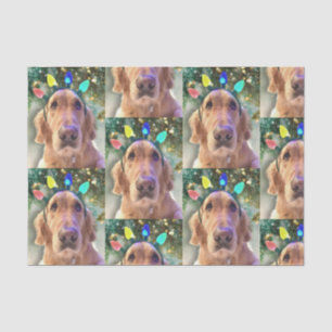 Nova the Golden Retriever Christmas Tissue Paper