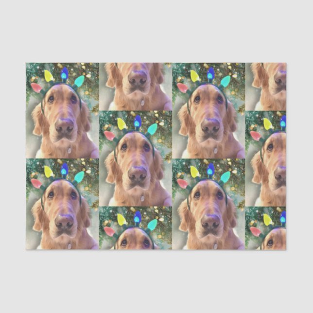Nova the Golden Retriever Christmas Tissue Paper (Front)