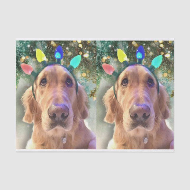 Nova the Golden Retriever Christmas Tissue Paper (Front)