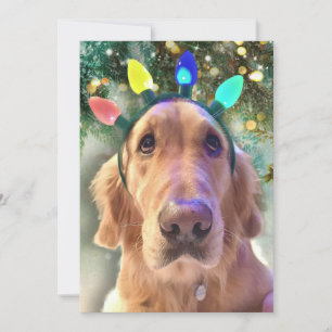 Nova the Golden Retriever Dog Christmas Invitation