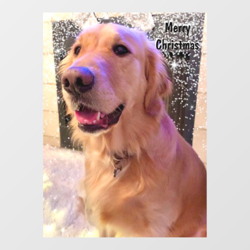 Nova The Golden Retriever Dog Christmas Snow  Window Cling