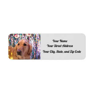 Nova The Golden Retriever - Santa Paws - Address Label