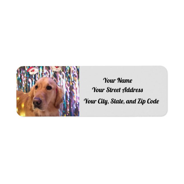 Nova The Golden Retriever - Santa Paws - Address Label (Front)