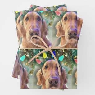 Nova the Golden Retriever - Wrapping Paper Sheets