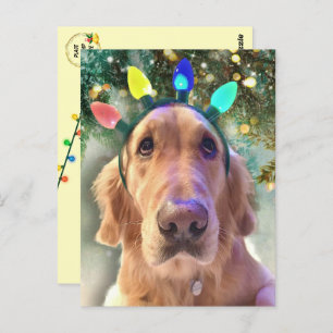 Nova The Golden Retriever's Christmas Postcard