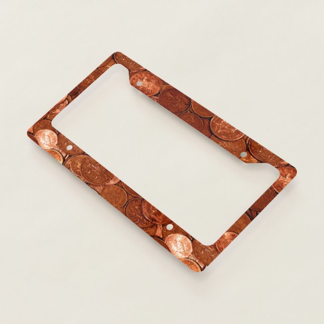 Novelty Copper Coins License Plate Frame (3/4)