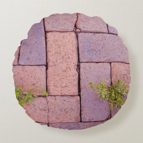 Novelty Rustic Red Brick Pavers Walkway Weeds Round Pillow