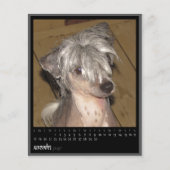 november 2012 calendar (Front)