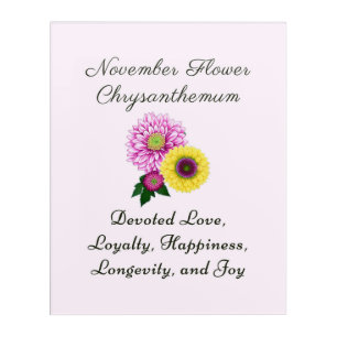 November Birth Month Flower Chrysanthemum Acrylic Print