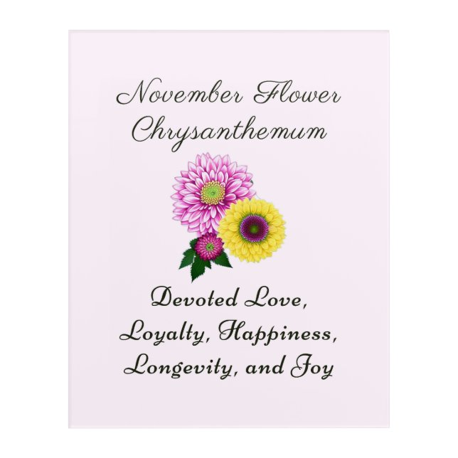November Birth Month Flower Chrysanthemum Acrylic Print (Front)