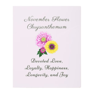 November Birth Month Flower Chrysanthemum Metal Print