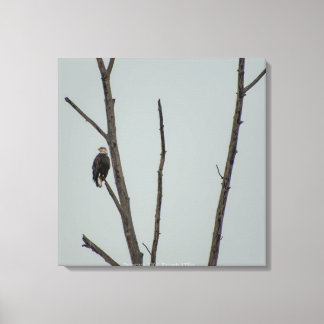 November Canvas Print