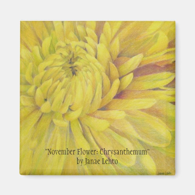November Flower: Chrysanthemum Magnet (Front)