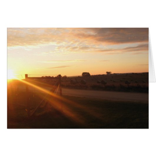 November Morning Cards (Front Horizontal)