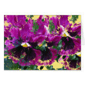 November Pansies (Front Horizontal)