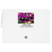 November Pansies Cards (Back Horizontal)