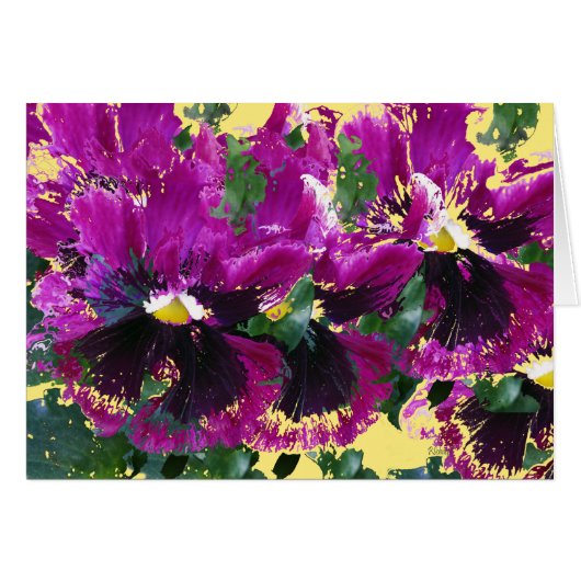 November Pansies Cards (Front Horizontal)