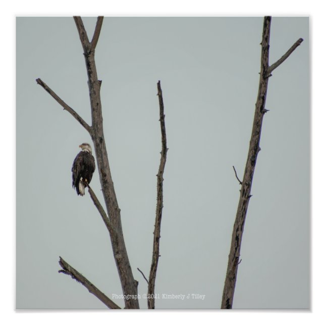 November Photo Print (Front)