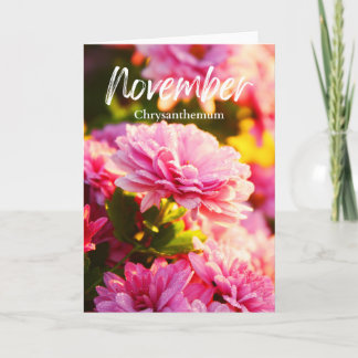 November Pink Chrysanthemum Birth Month Flower Card