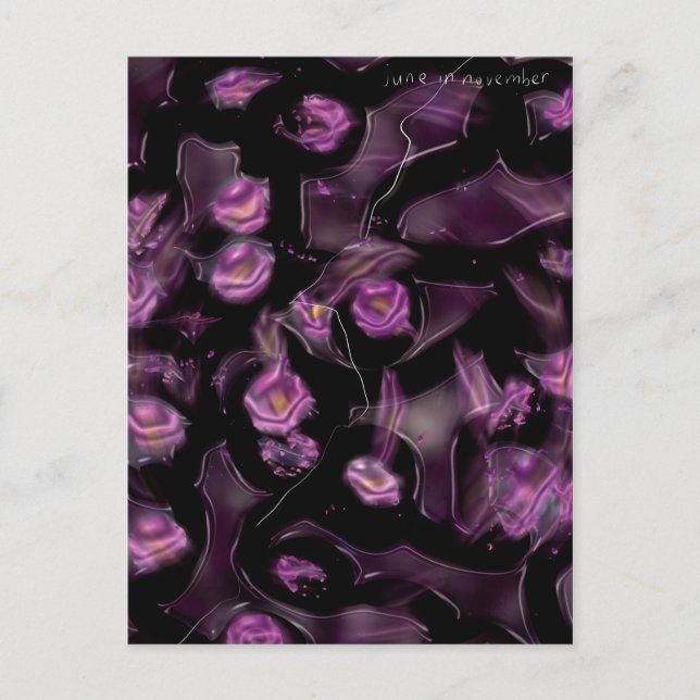 november postcard (Front)