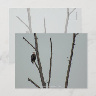 November Postcard