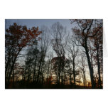 November Sunset Cards