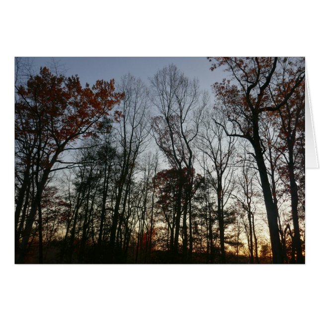 November Sunset Cards (Front Horizontal)