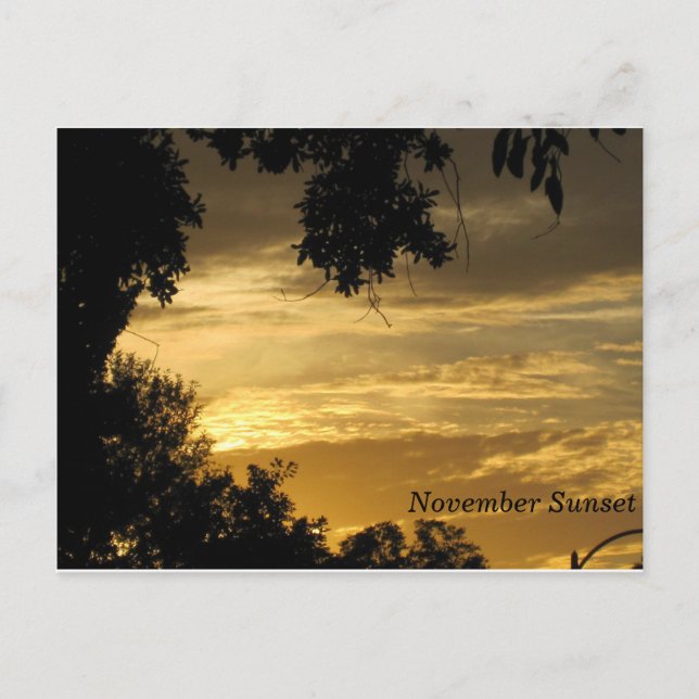 November Sunset Postcard (Front)