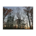 November Sunset Postcard