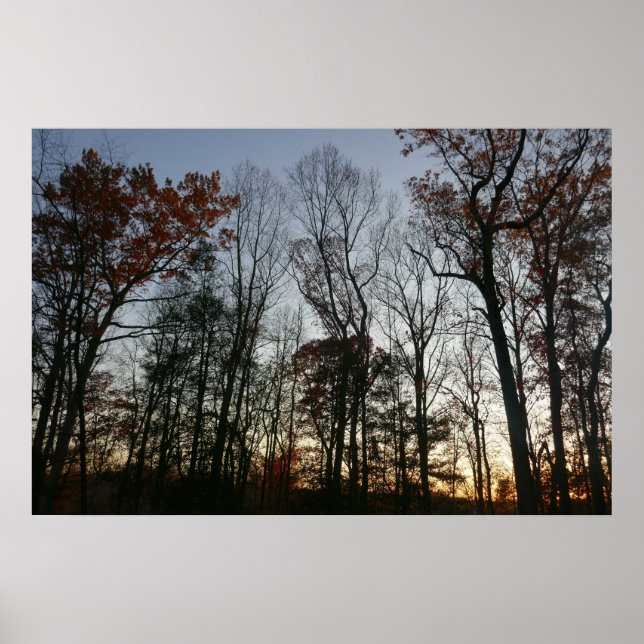 November Sunset Poster (Front)