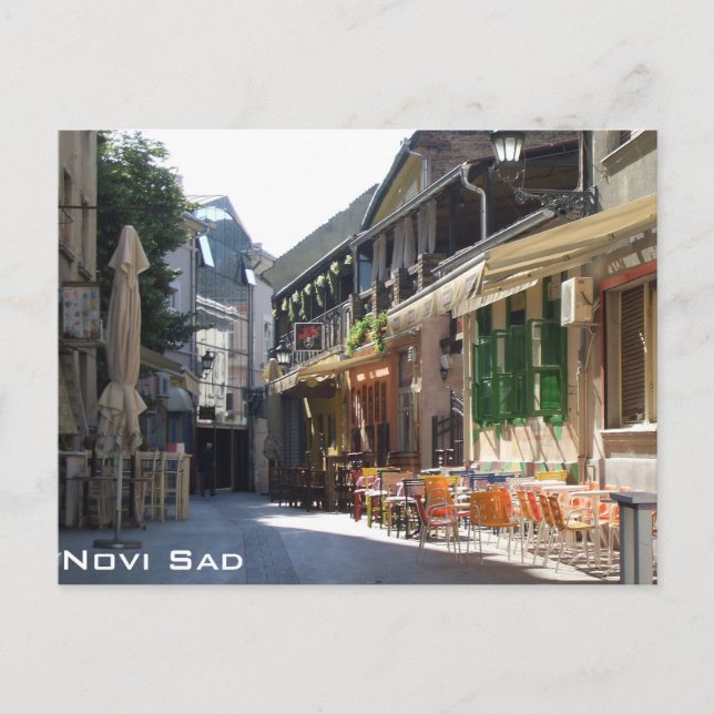 Novi Sad Postcard (Front)