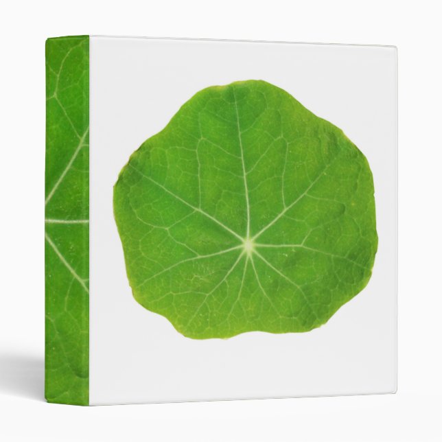 NOVINO Greenothan - Environmental Issues Binder (Front/Spine)