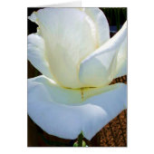 Now and Forever_ (Front)