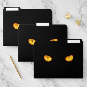 Now He Sees you Black Cat File Folder