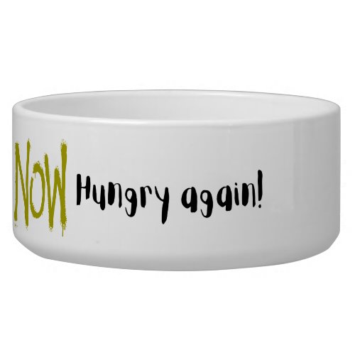 Now Hungry Again _ dog and cat food bowl