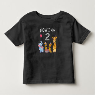 Now I am 2 years old 2nd Birthday at the Zoo Baby Toddler T-shirt
