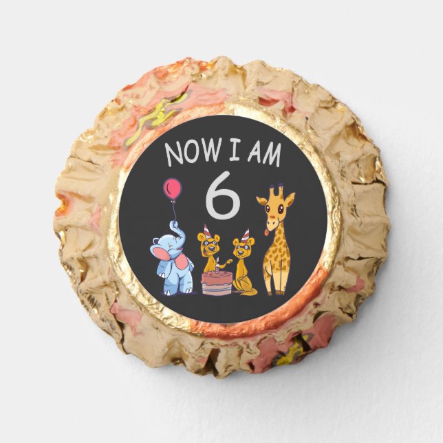 Now I am 6 years old 6th Birthday at the Zoo Reese's Peanut Butter Cups (Front)