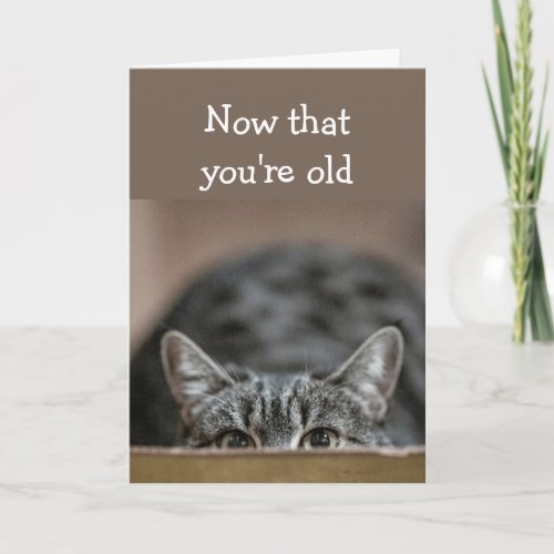 Now that Youre Old Birthdays Sneak up Cat Pounce Card