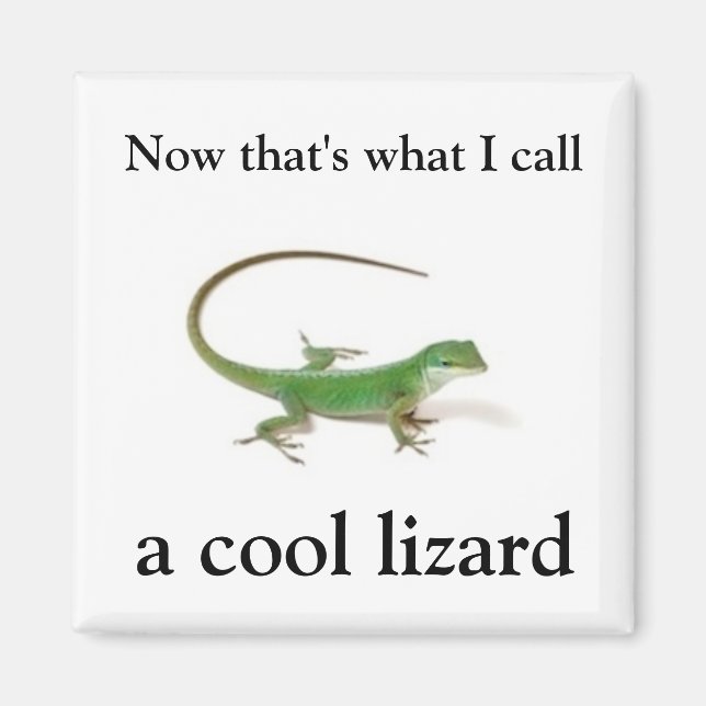 Now that's what I call a cool lizard Magnet (Front)