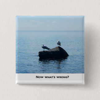 Now what's wrong? pinback button