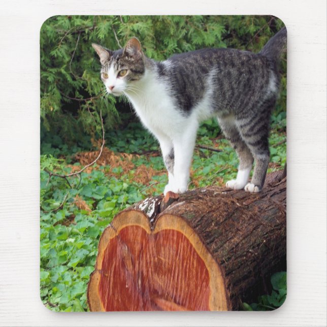 Now You Have My Attention - Kitty Mousepad (Front)