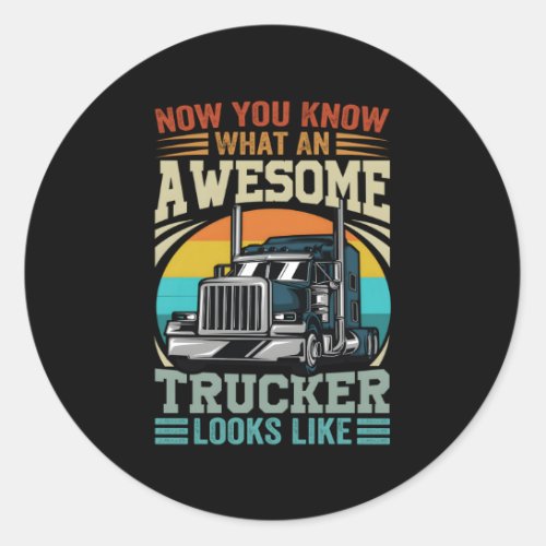 Now You Know W An Awesome Trucker Looks Like Classic Round Sticker