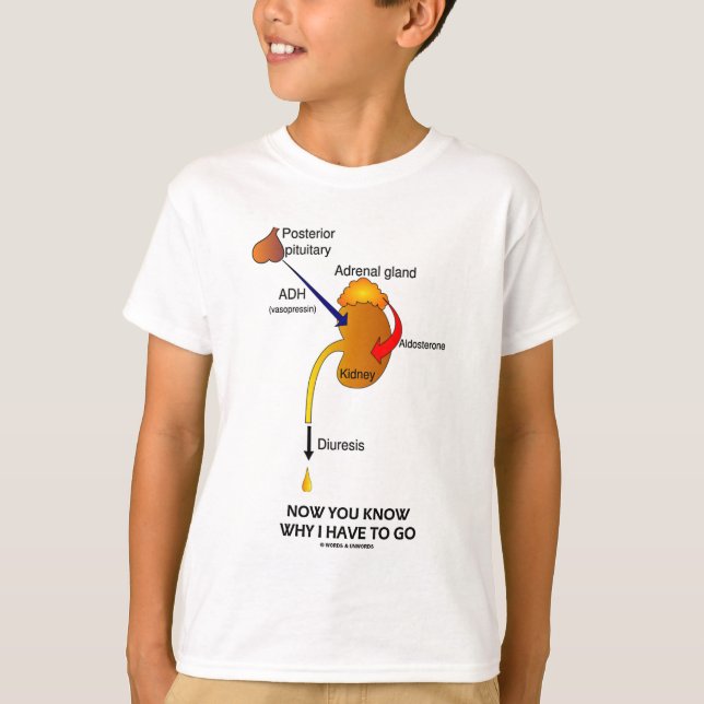 Now You Know Why I Have To Go (Diuresis) T-Shirt (Front)