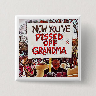 Now you've pissed off grandma pinback button