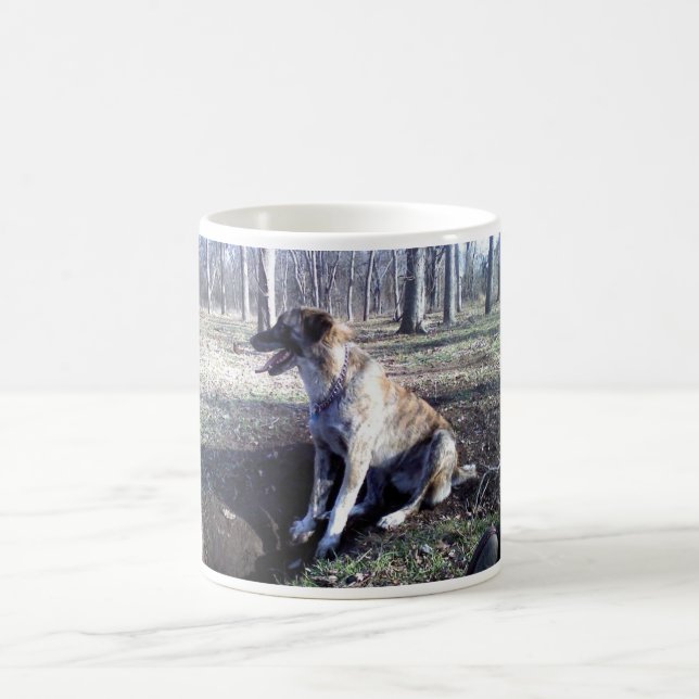Nowzad Kujo Coffee Mug (Center)