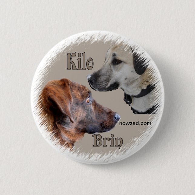 Nowzad Rescue Dogs Brin & Kilo Badge Button (Front)